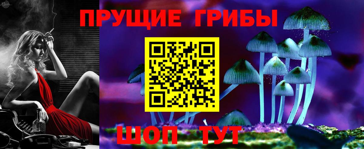 Псилоцибиновые грибы Cubensis  Псилоцибиновые грибы Cubensis  Владивосток  Вход с VPN 