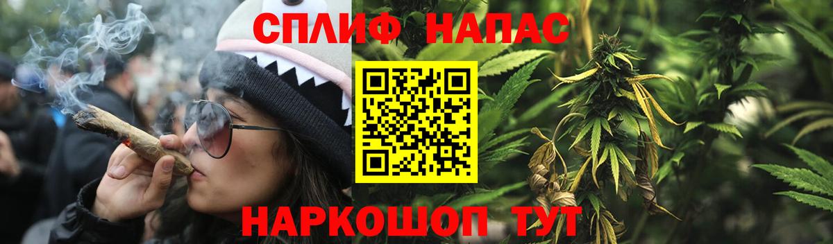 Владивосток  Шишки марихуана сатива  Вход с VPN  Канабис Amnesia  Каннабис планчик 